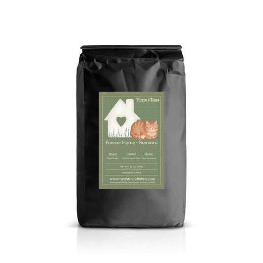 Forever Home - Sumatra