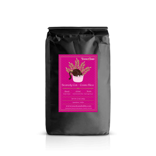 Scaredy Cat Costa Rica - Medium/Light Roast